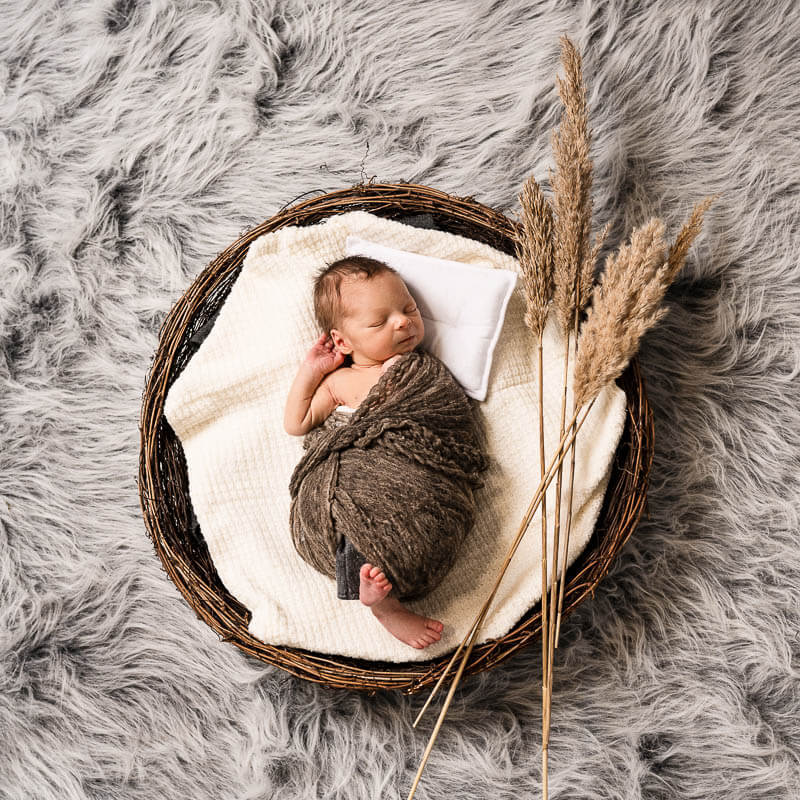 newborn baby in a big round basket