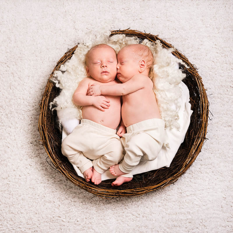 newborn twins in a round basket