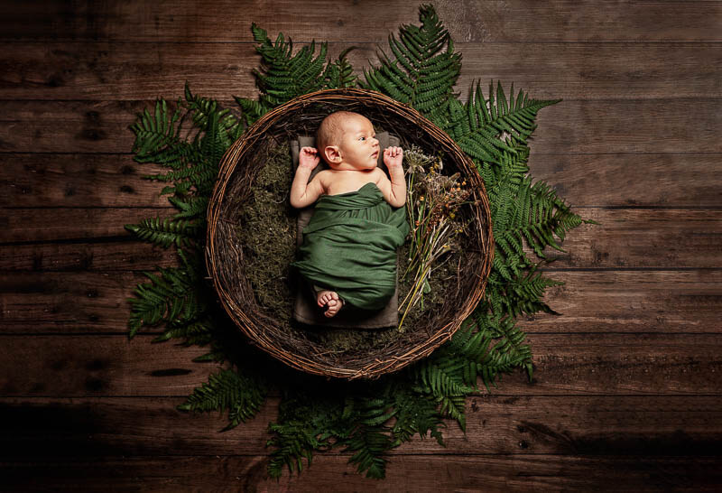 newborn baby in round basket with ferns all around
