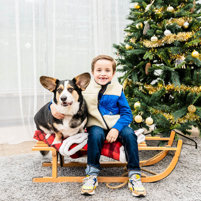 Boy sitting on sleigh with dog